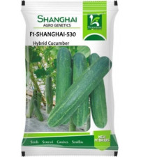 Cucumber F1 Shanghai-530 25 grams